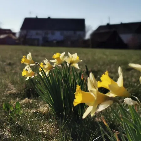 Ferienwohnung Am Nationalpark Lägenhet Brucken is an Ortsgemeinde